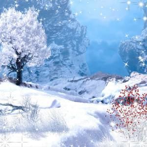 Meet your Posher, Danette